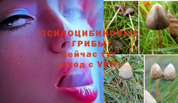 стафф Зеленодольск