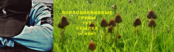 спайс Зерноград