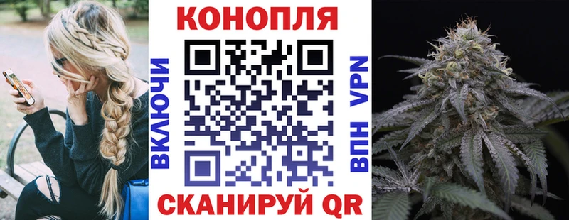 Купить закладки  Канаш  Шишки марихуана план 